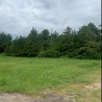 AR - Chicot 188 acres - images 4