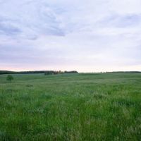 M3 Hilltop Ranch Near Marshfield With Impressive Income Opportunities images 3