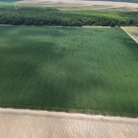 563.53 Acres in the MS Delta in Leflore County