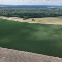 563.53 Acres in the MS Delta in Leflore County images 2