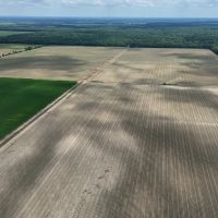 563.53 Acres in the MS Delta in Leflore County images 3