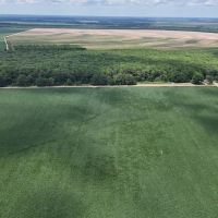 563.53 Acres in the MS Delta in Leflore County images 4