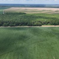 563.53 Acres in the MS Delta in Leflore County images 5