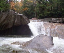 Pemigewasset River WMA - 82 acre Turkey hunting land in Grafton, NH