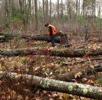 Bellamy River - 400 acre waterfowl & rabbits hunting area in Strafford, NH