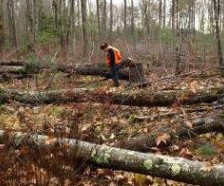 Bellamy River - 400 acre waterfowl & rabbits hunting area in Strafford, NH