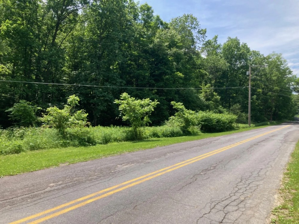 10 acre Building Lot and Recreational Land in Chenango Forks NY 190 Marshman Rd featured image