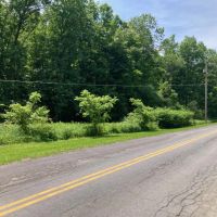 10 acre Building Lot and Recreational Land in Chenango Forks NY 190 Marshman Rd