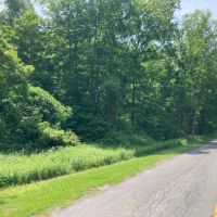 10 acre Building Lot and Recreational Land in Chenango Forks NY 190 Marshman Rd images 2