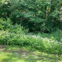 10 acre Building Lot and Recreational Land in Chenango Forks NY 190 Marshman Rd images 3