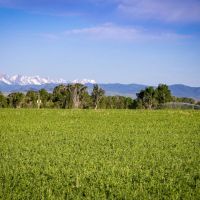 Fiddle Creek images 2