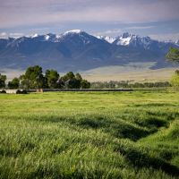 Fiddle Creek images 4