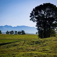 Fiddle Creek images 5