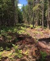 Clarada - 35 acres waterfowl hunting property at Grafton, NH