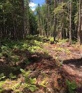 Clarada - 35 acres waterfowl hunting property at Grafton, NH