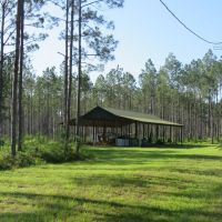 Rocky Hammock Pines images 2