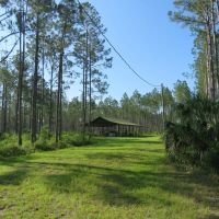 Rocky Hammock Pines images 3