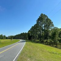 Rocky Hammock Pines images 4