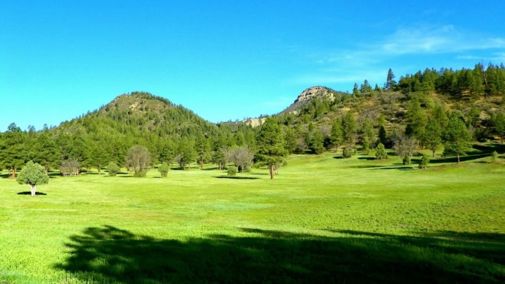 Taylor Canyon Ranch featured image