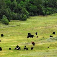 Taylor Canyon Ranch images 5