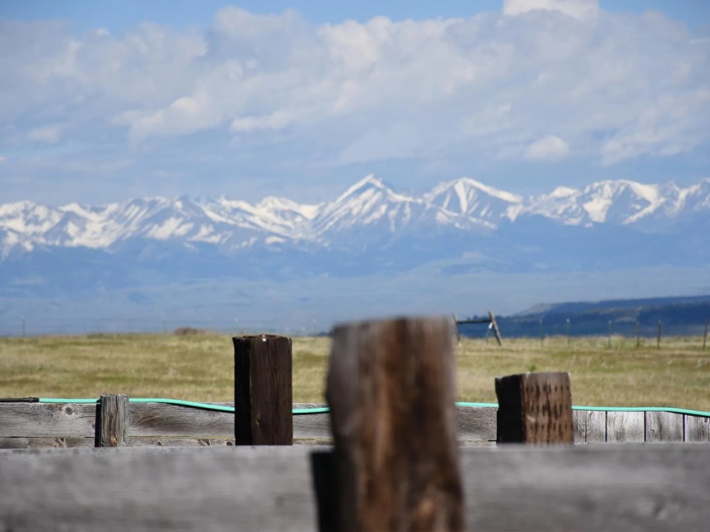 Noon Bear Ranch featured image