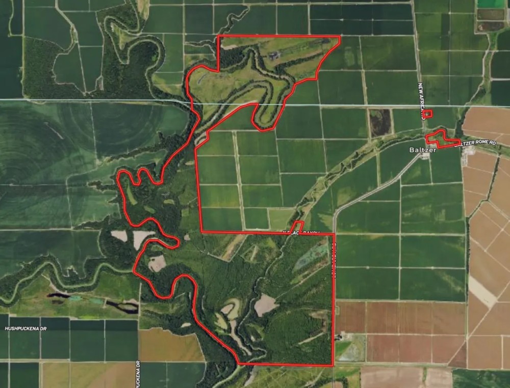 MS - Sunflower Cohoama 1230 acres - featured image