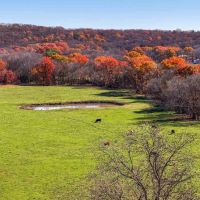 Bird Creek Crossing images 3