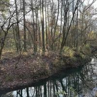 120 Acre Hunting Property For Sale in Caldwell Parish La images 5
