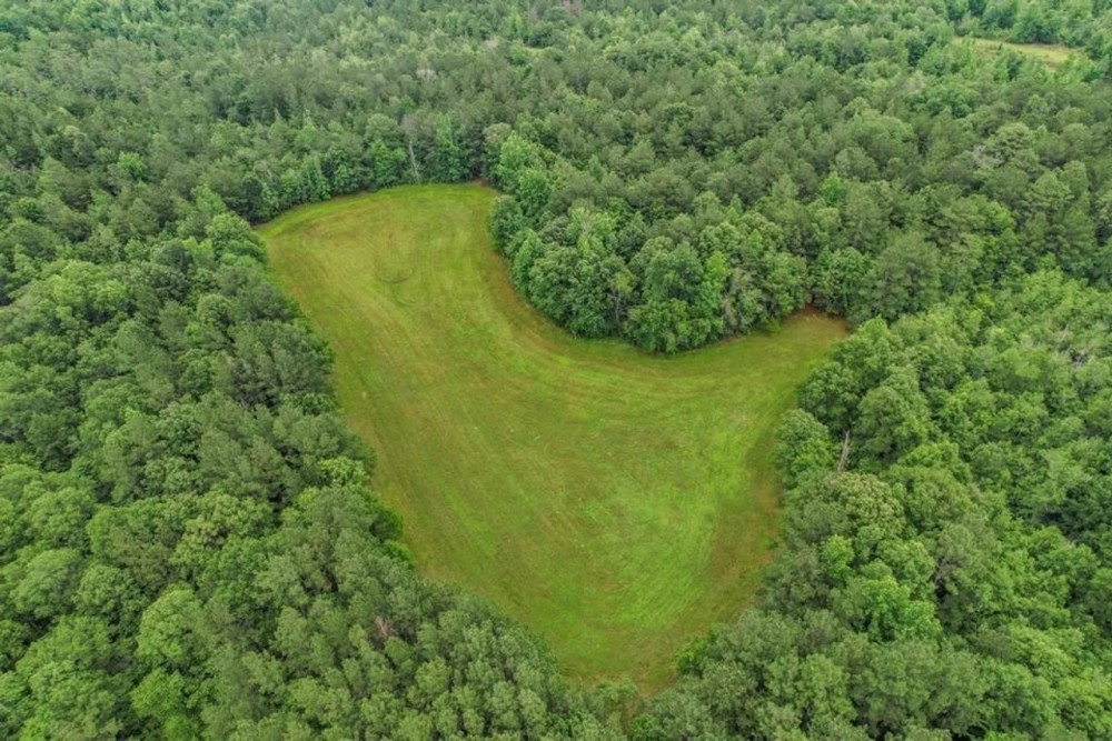 Rare Hunting Tract for Sale in Forrest County MS featured image
