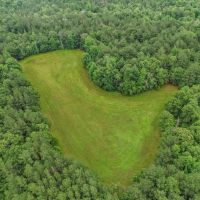 Rare Hunting Tract for Sale in Forrest County MS