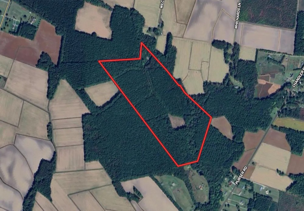 57.75 acres of Hunting Recreational and Timber Land For Sale in Craven County NC featured image