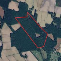 57.75 acres of Hunting Recreational and Timber Land For Sale in Craven County NC