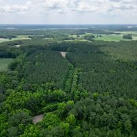 57.75 acres of Hunting Recreational and Timber Land For Sale in Craven County NC images 2