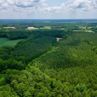 57.75 acres of Hunting Recreational and Timber Land For Sale in Craven County NC images 3