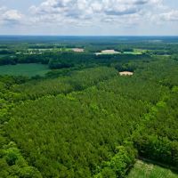 57.75 acres of Hunting Recreational and Timber Land For Sale in Craven County NC images 4