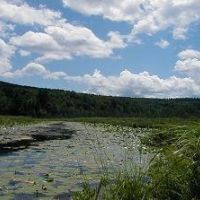 Thornton - 624 acres hunting land for Waterfowl at Grafton, NH