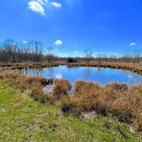 Liberty TX Tract 2 12 Acres Only 15K Down images 2