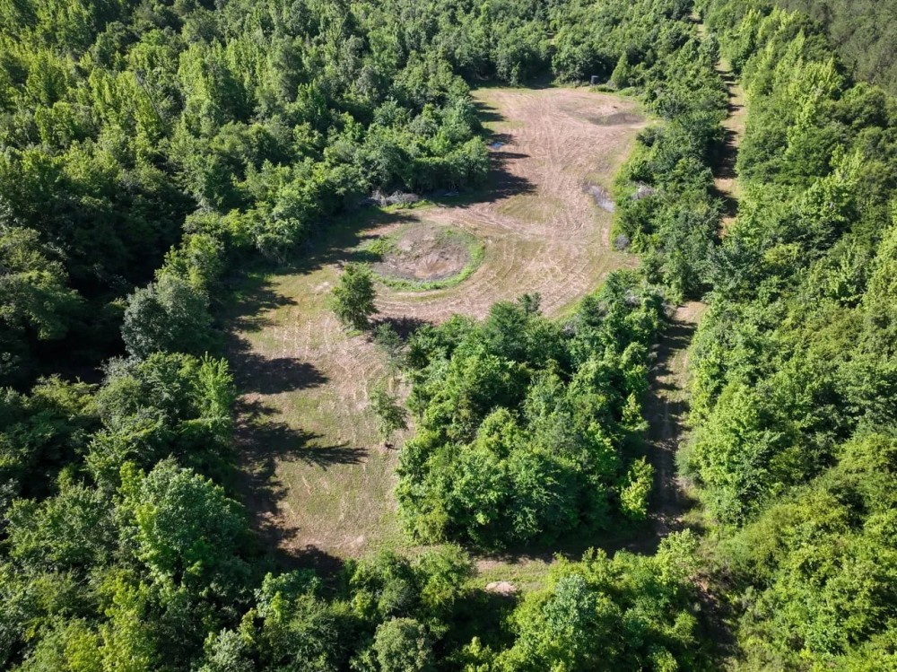 Webster County - 95 Acres - Big Black River Honey Hole featured image