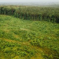 237 Acres in Madison County MS