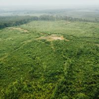 237 Acres in Madison County MS images 2
