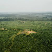 237 Acres in Madison County MS images 3