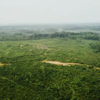 237 Acres in Madison County MS images 4