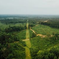 237 Acres in Madison County MS images 5