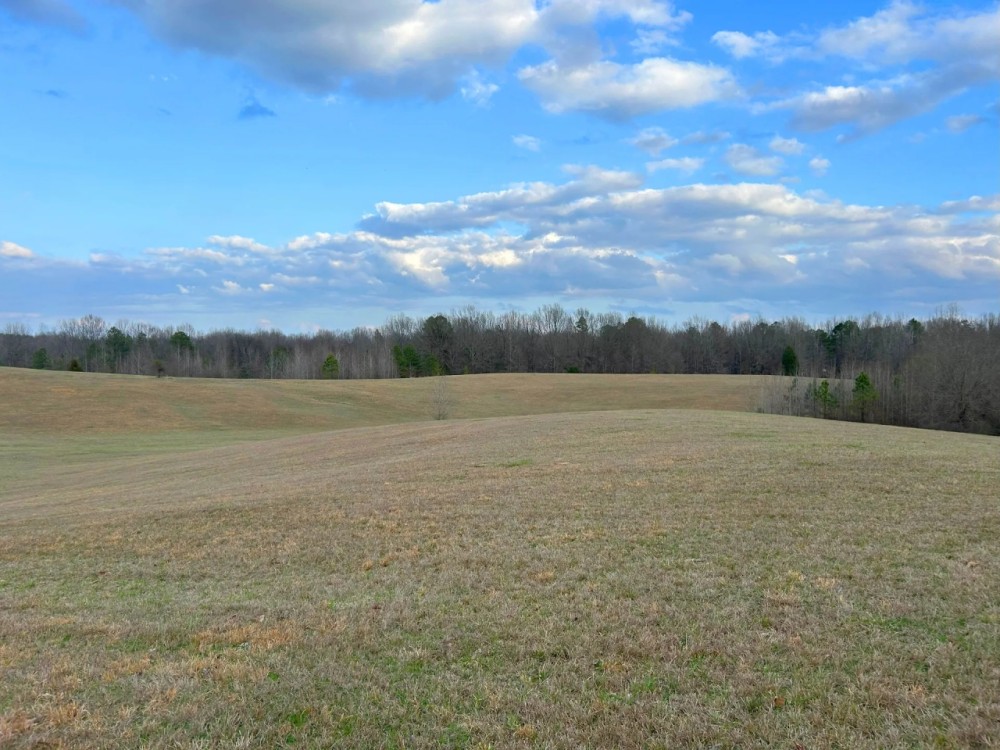 129 Acres in Tallahatchie County MS featured image