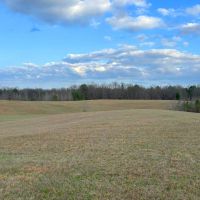 129 Acres in Tallahatchie County MS