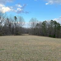 129 Acres in Tallahatchie County MS images 3