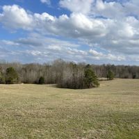 129 Acres in Tallahatchie County MS images 4