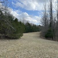 129 Acres in Tallahatchie County MS images 5