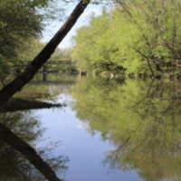 Atterbury- 4905 acre Deer & Dove hunting property in Jennings, IA