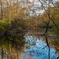 Atterbury- 4905 acre Deer & Dove hunting property in Jennings, IA images 4